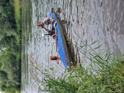 Mainschwimmen Juni 2026